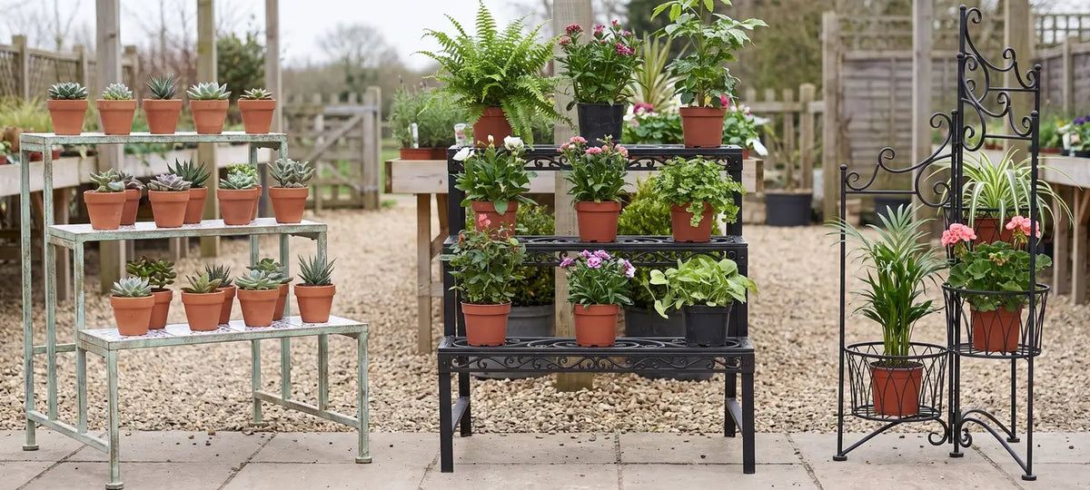 Ceramic, black metal tiered, and folding plant stands with potted plants on display