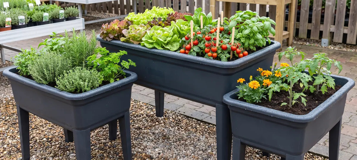 Anthracite grey plastic raised garden beds planted with vegetables on display