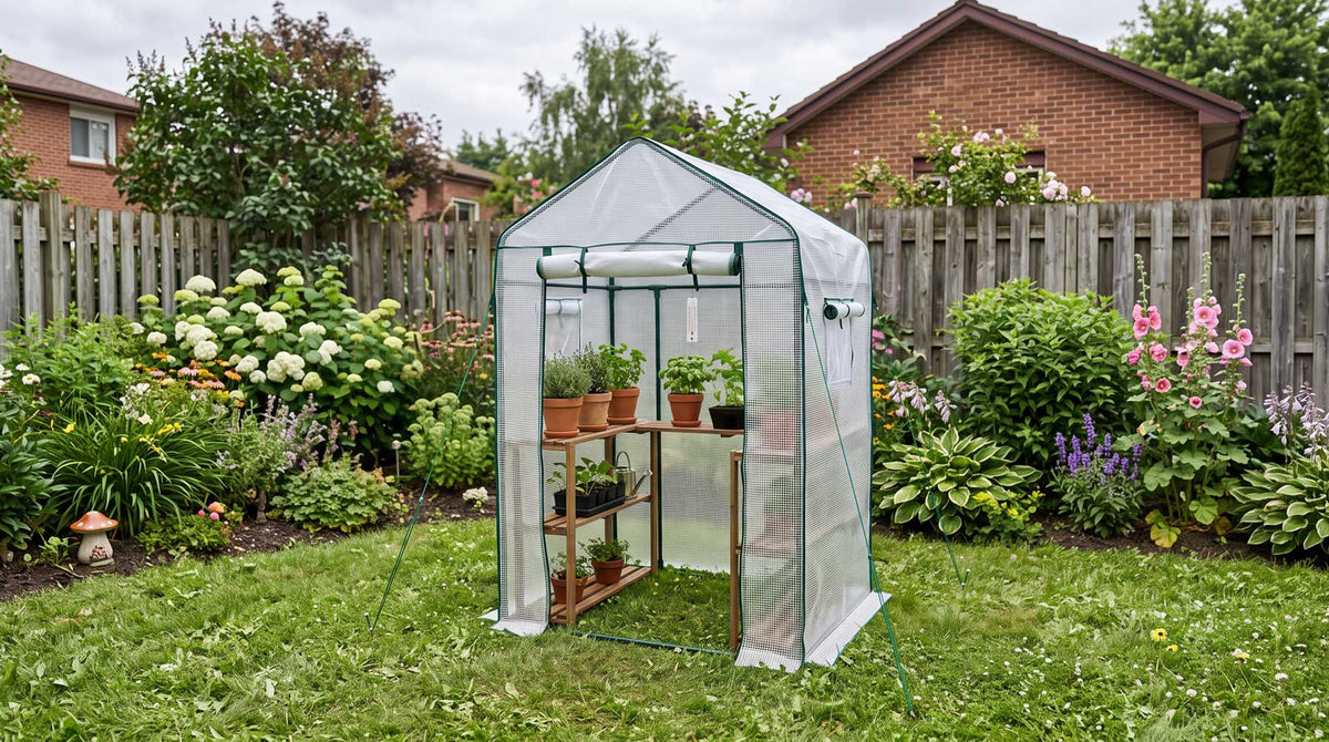 Pop-up greenhouse