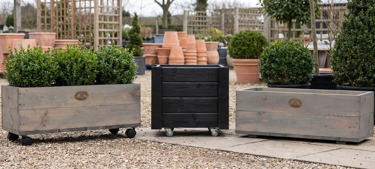 Natural wood, black, and plain wooden garden planter boxes on display