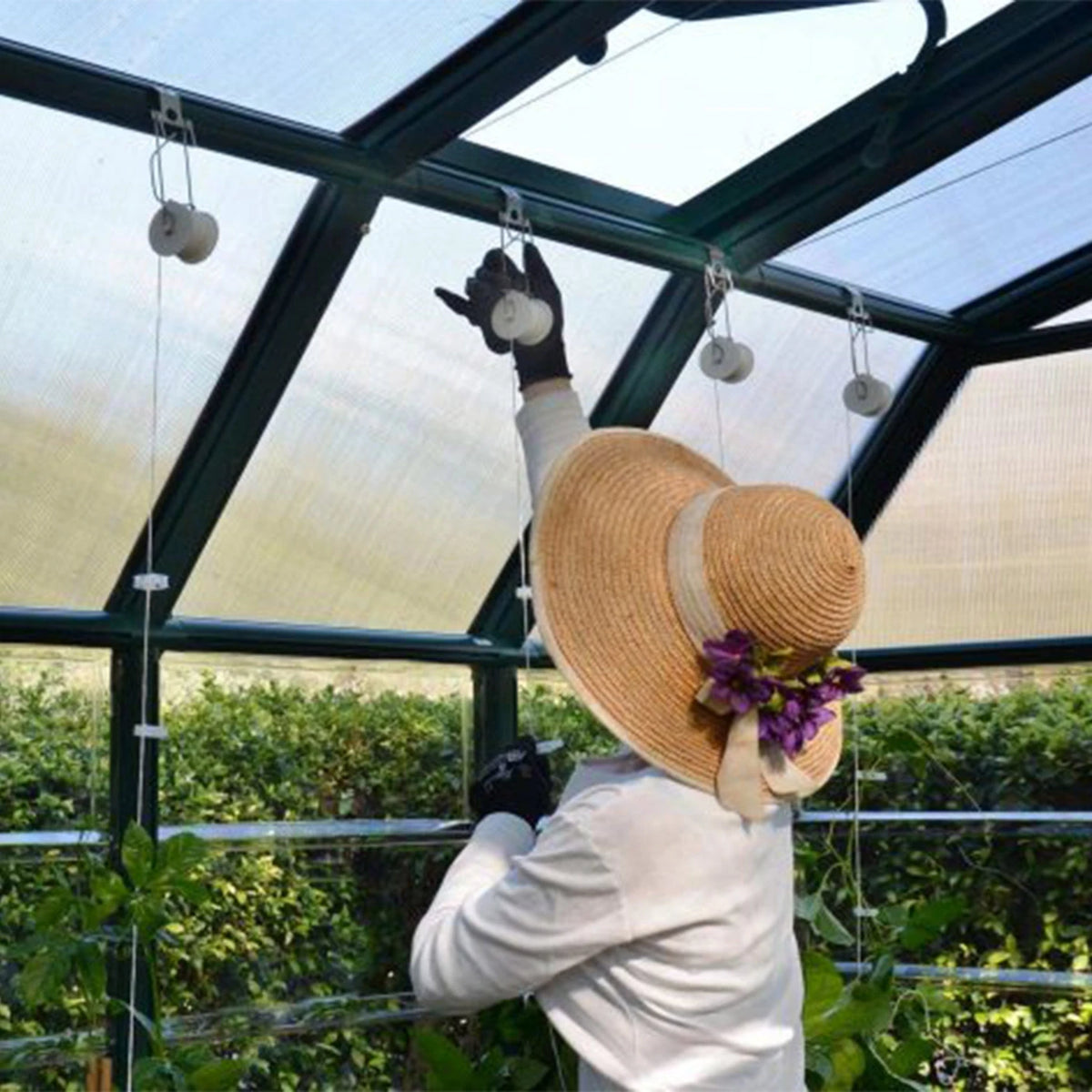 Trellising Kit Pro for Greenhouse