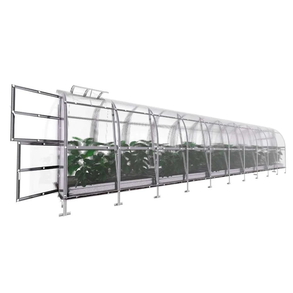 KLASIKA SLIM Greenhouse 2 x 12 m (24 m2)