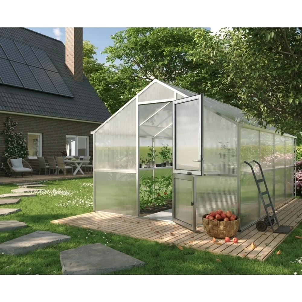 Greenhouse Nelke IV, blank