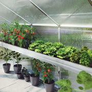 Plant tray Enzian IV
