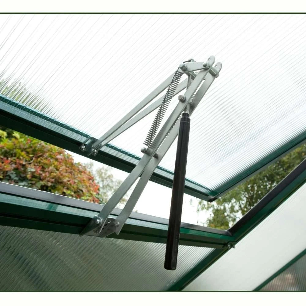 Greenhouse Iris III, fir green